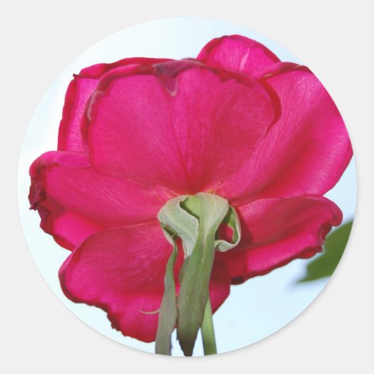 Rond Beau Sticker Flower (Devant)