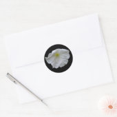 Rond Beau Sticker Petunia Blanc (Enveloppe)