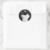 Rond Beau Sticker pour chats (Sac)