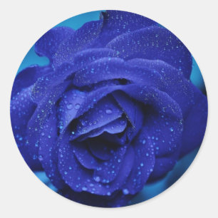 Rond Beau Sticker Rose Bleu