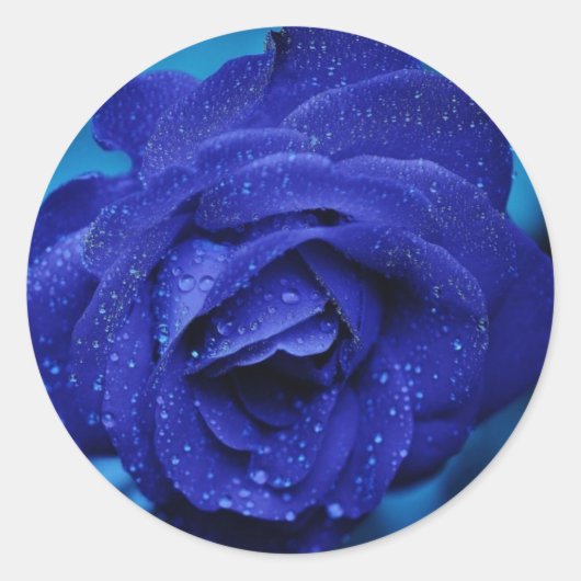 Rond Beau Sticker Rose Bleu (Devant)