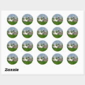 Rond Bébés de cygne doux - Sticker (Feuille)