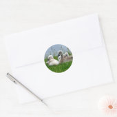 Rond Bébés de cygne doux - Sticker (Enveloppe)
