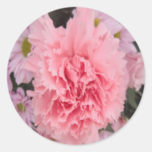 Rond Belle oeillet rose Sticker
