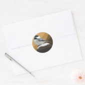 Rond Bickadee Sur Un Sticker Post (Enveloppe)