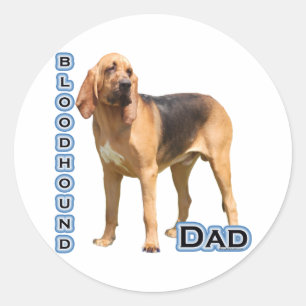 Rond Bloodhound Papa 4 - Sticker