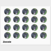 Rond Bordure Collie souriant mignon Sticker chien (Feuille)