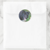 Rond Bordure Collie souriant mignon Sticker chien (Sac)