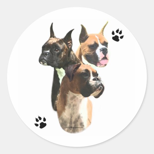Rond Boxer Trio - Sticker (Devant)