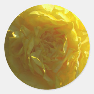 Rond Bright Yellow Peony Peonies Sticker Flower