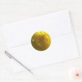 Rond Bright Yellow Peony Peonies Sticker Flower (Enveloppe)