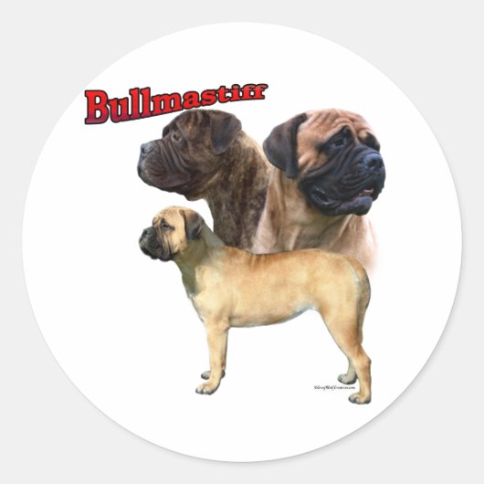 Rond Bullmastiff Trio 2 - Sticker (Devant)