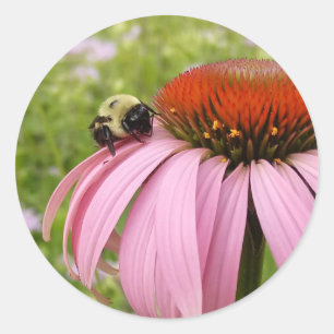 Rond Bumble Bee sur Sticker Flower