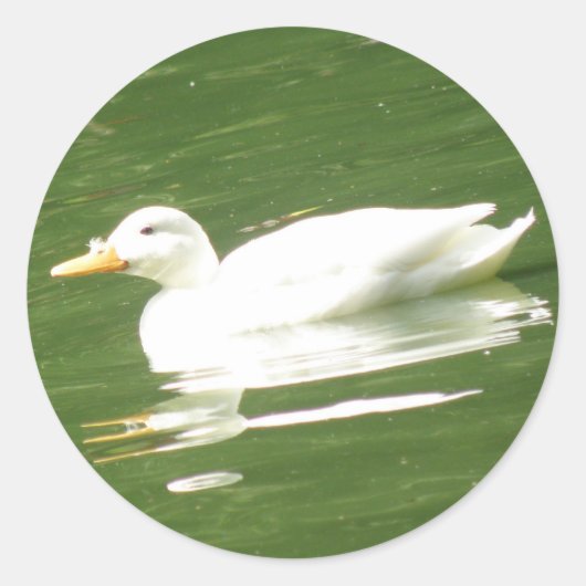 Rond Canard sur le Sticker à eau (Devant)