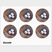 Rond Cardinal Eggs Sticker (Feuille)