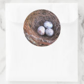 Rond Cardinal Eggs Sticker (Sac)