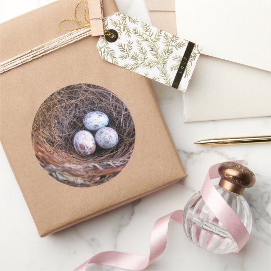 Rond Cardinal Eggs Sticker (Cadeaux)