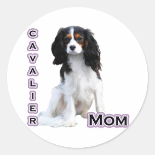 Rond Cavalier Mom 4 - Sticker