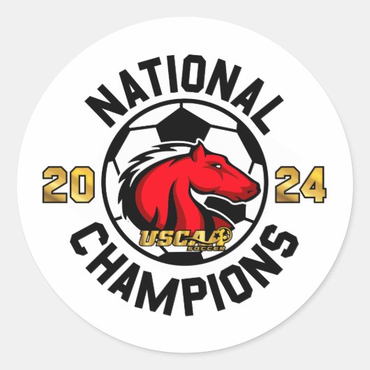 Rond Champions nationaux 2024 - Sticker (Devant)