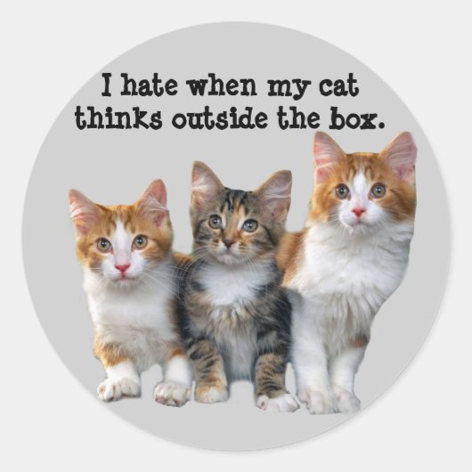 Rond Chat À L'Extérieur Du Sticker De Boîte (Devant)