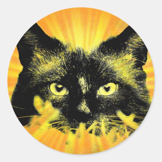 Rond Chat Sunburst Kitty Sticker Abstrait Feline Art (Devant)