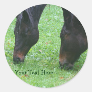 Rond Cheval Amis Pâturage Ensemble Animal Sticker
