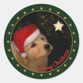 Rond Chiot d'or avec Sticker de Santa Hat (Devant)