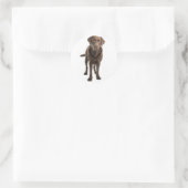 Rond Chocolat Brown Labrador Retriever Sticker chien (Sac)