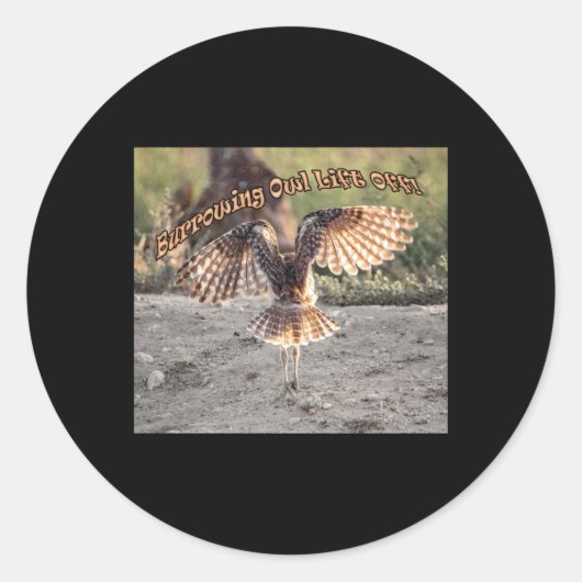 Rond Chouette en torrillage Left Off Sticker (Devant)