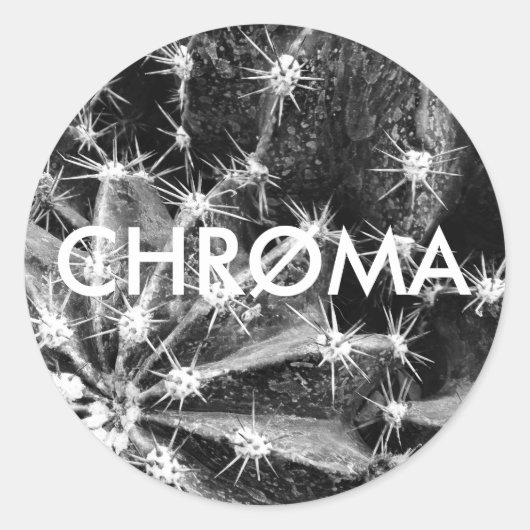 ROND CHRØMA CACTUS STICKER (Devant)