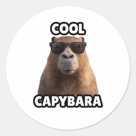 Rond Cool Capybara Sticker (Devant)