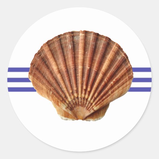 Rond Coquillage nautique - Sticker circulaire (Devant)