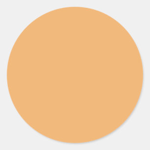Rond Couleur de tendance - Sticker orange doux