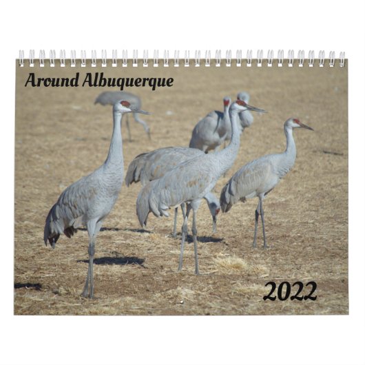 Rond de agenda van Albuquerque Kalender (Hoes)