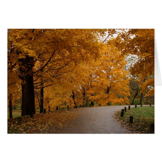 "Rond de Buis" (Voorkant Horizontaal)