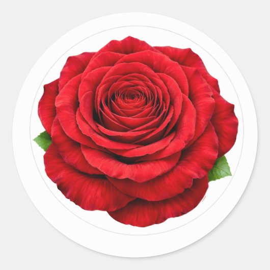 Rond Deep Red Rose Round Envelope Seal Sticker (Devant)