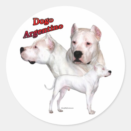 Rond Dogo Argentino Trio 2 - Sticker (Devant)