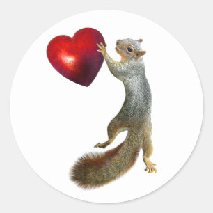Rond Écureuil avec Sticker de Coeur Rouge