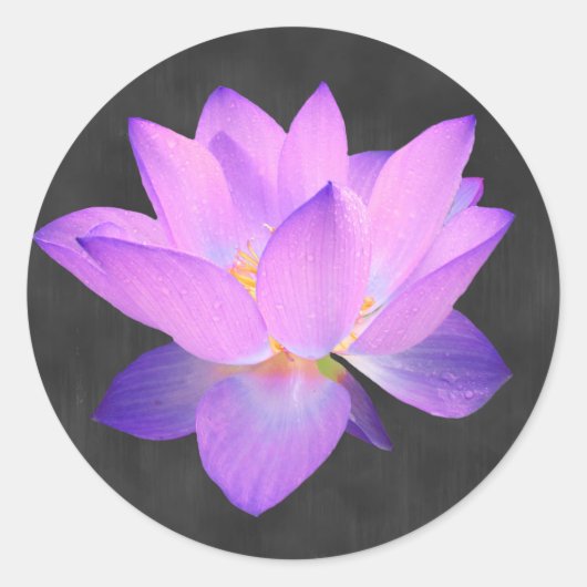 Rond Élégant Sticker Lotus Violet (Devant)