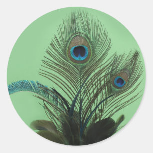 Rond Élégant Sticker Peacock (vert)