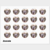 Rond Elephant PASSE PAR Sticker (Feuille)