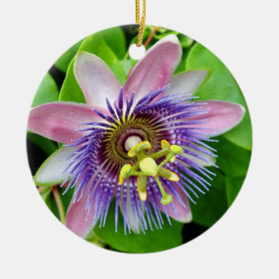 Rond En Céramique Fleur pourpre de passion de Lilikoi, ornement de