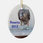 Rond En Céramique Ornement 2013 de Rosetta (Droite)