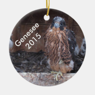 Rond En Céramique Ornement 2015 de Genesee