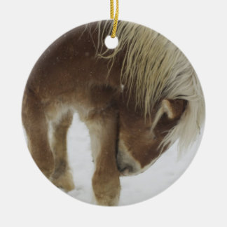 Rond En Céramique Ornement belge de cheval