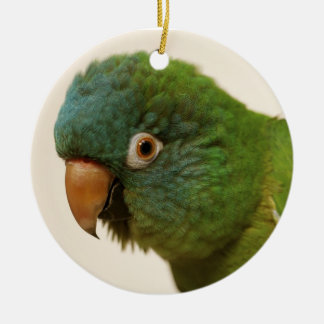 Rond En Céramique ornement Bleu-couronné de Conure