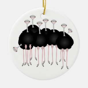 Rond En Céramique Ornement d'autruche