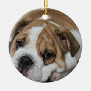 Rond En Céramique Ornement de bouledogue de sommeil