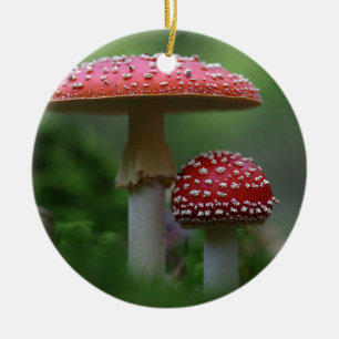 Rond En Céramique Ornement de champignons magiques