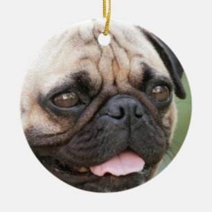 Rond En Céramique Ornement de chien de carlin